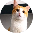 Ann Jeo profile picture